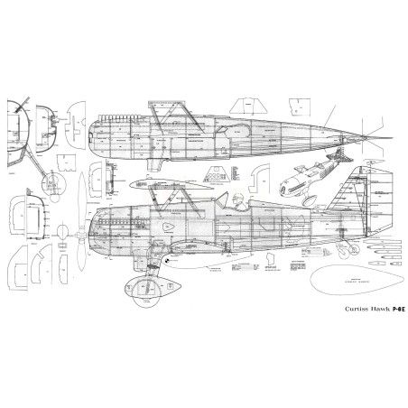 Printed Curtiss Hawk P6E