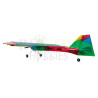 Roy covered his NatterJack Funfly with South African colours.  This plane looks awesome and is very visible.