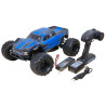 HSP Grampus Brushless 2WD RTR 1/10 Monster Truck