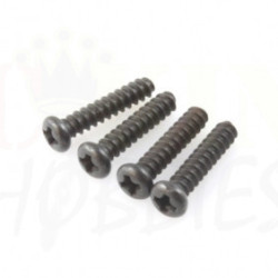 Round Head Self-Tapping...