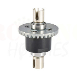 Metal Differential Gear (1309)