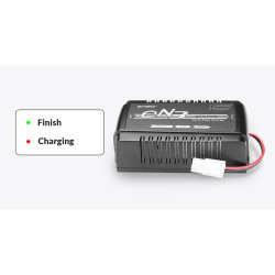 EV-Peak EN3 Charger (NiMH &...