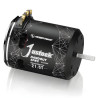 21.5T Justock Hobbywing Brushless Motor