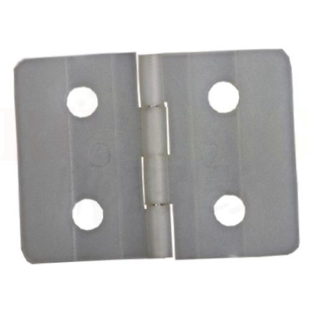 Nylon Pinned Hinges L35 x W25mm