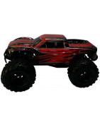 Brushless Cars